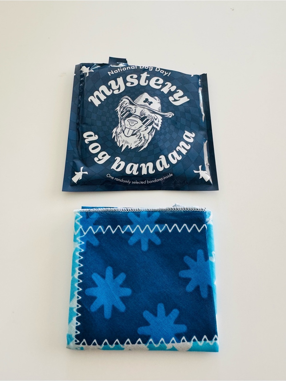 Dutch Bros Dog/Pup Bandana 2026